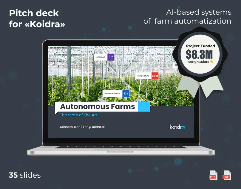 Koidra pitch deck portfolio case preview